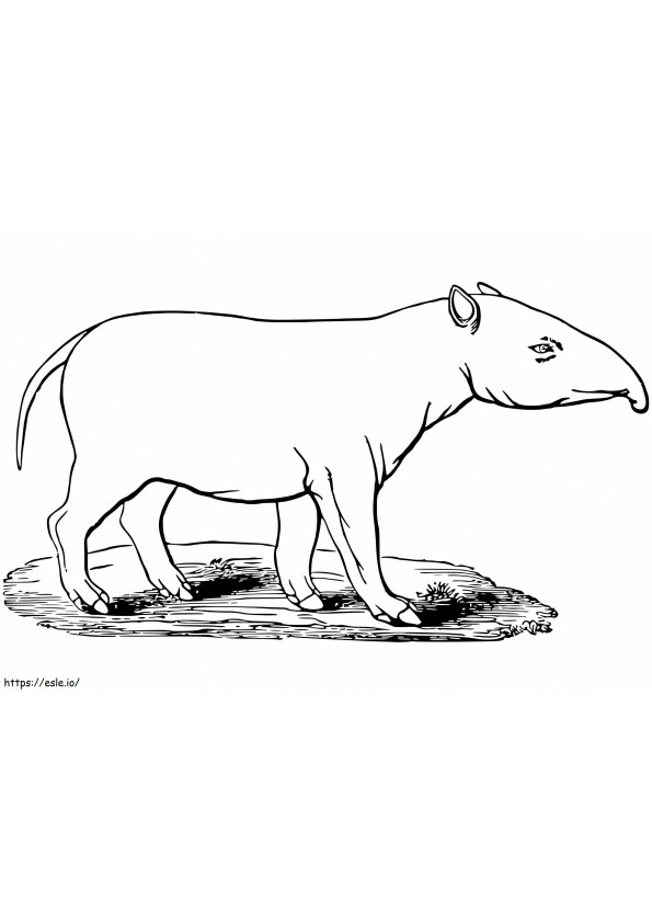 Coloriage Tapir normal à imprimer dessin