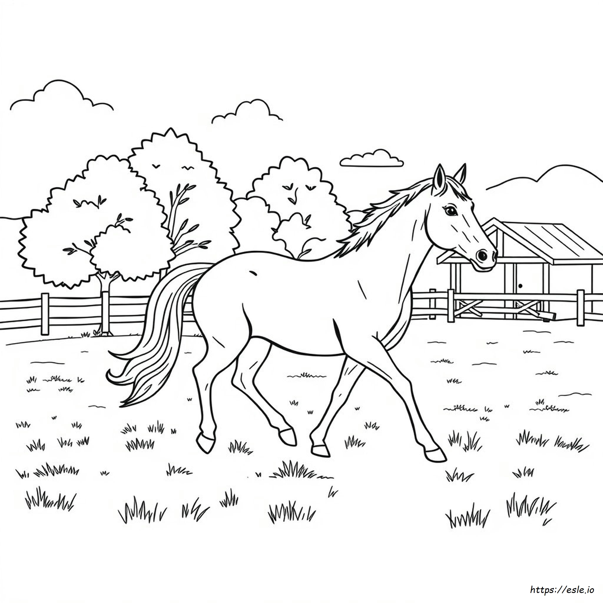 Koń Quarter Horse Kolorowanki