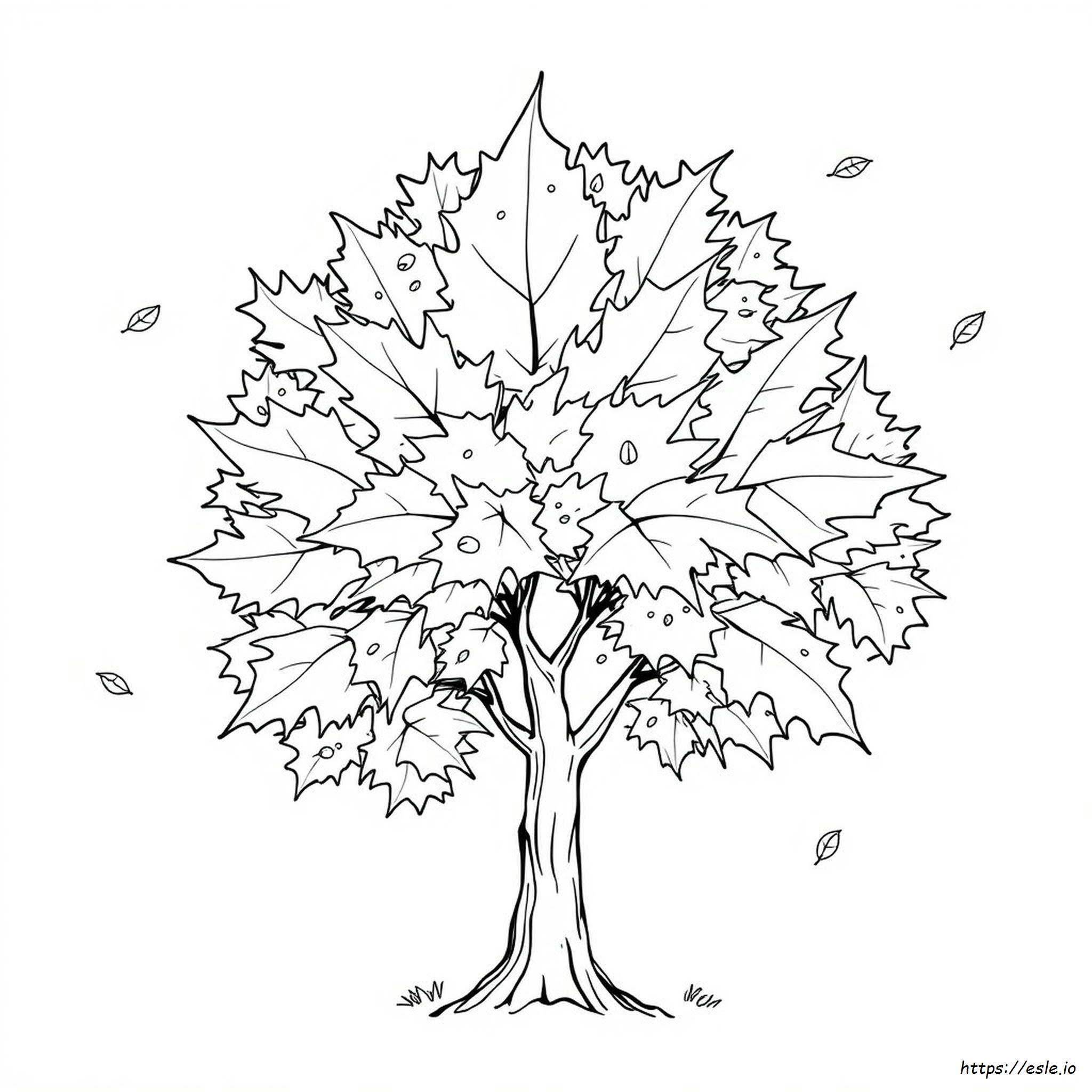 Leaf Picture For Colouring