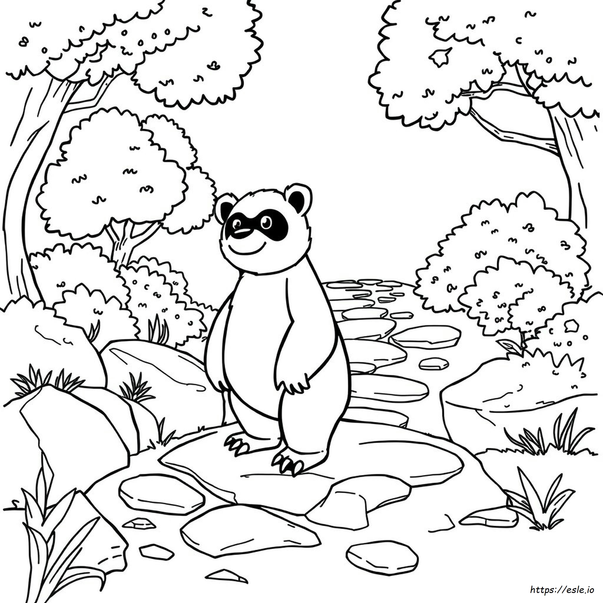 Pangoro Da Colorare