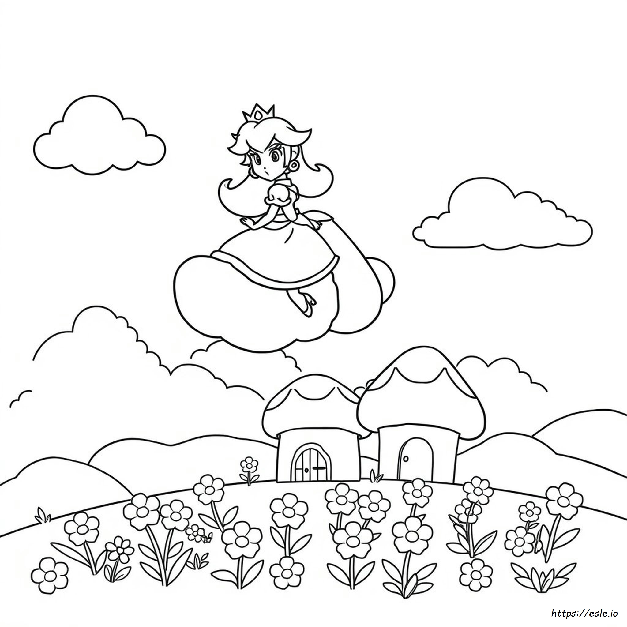 Prinzessin Peach Ausmalbilder Motorrad