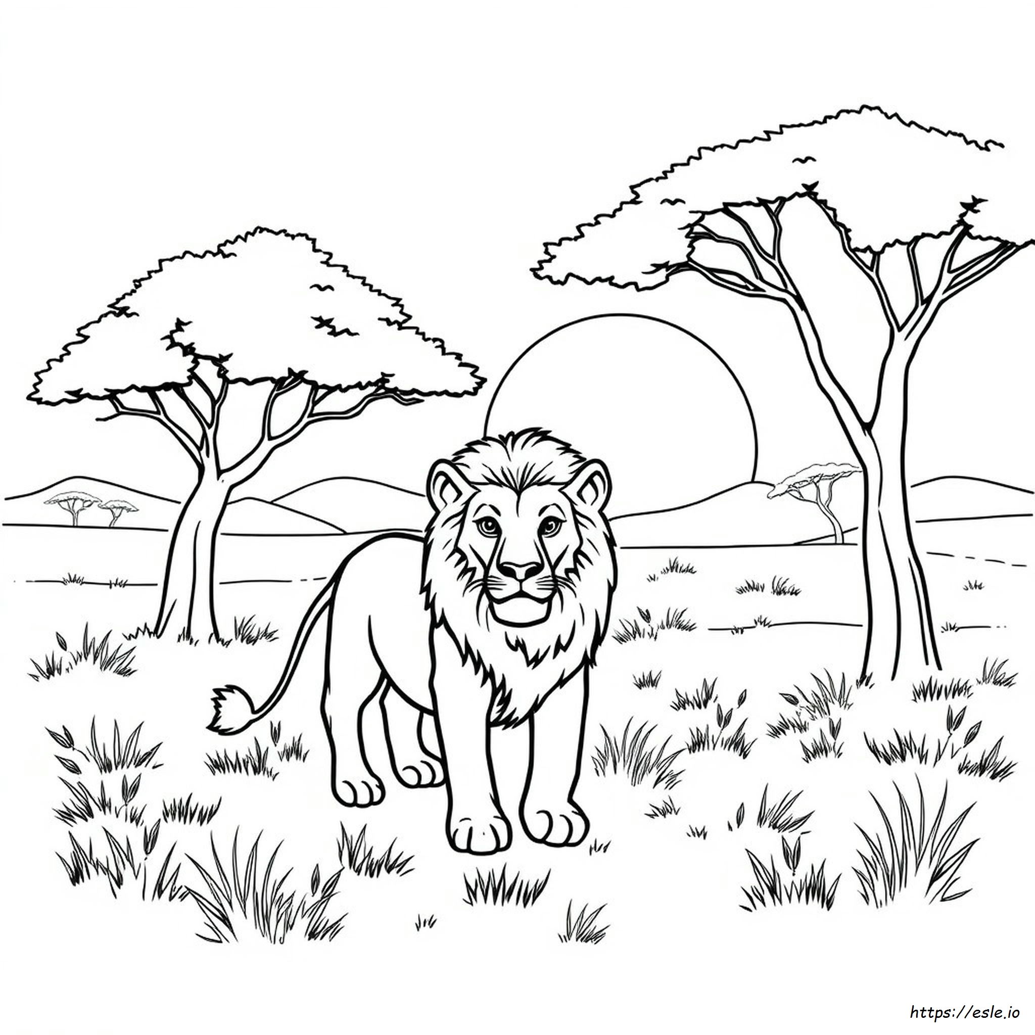 Lion Coloring Pages For Adults Already Colored