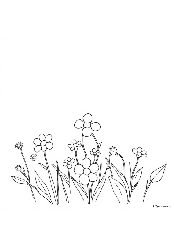Coloring Pastello