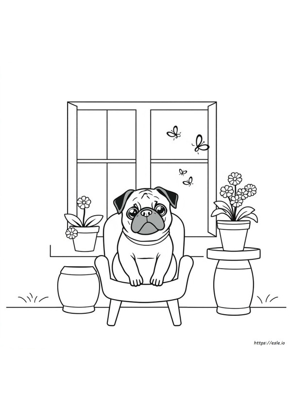 Gambar Mewarnai Pug