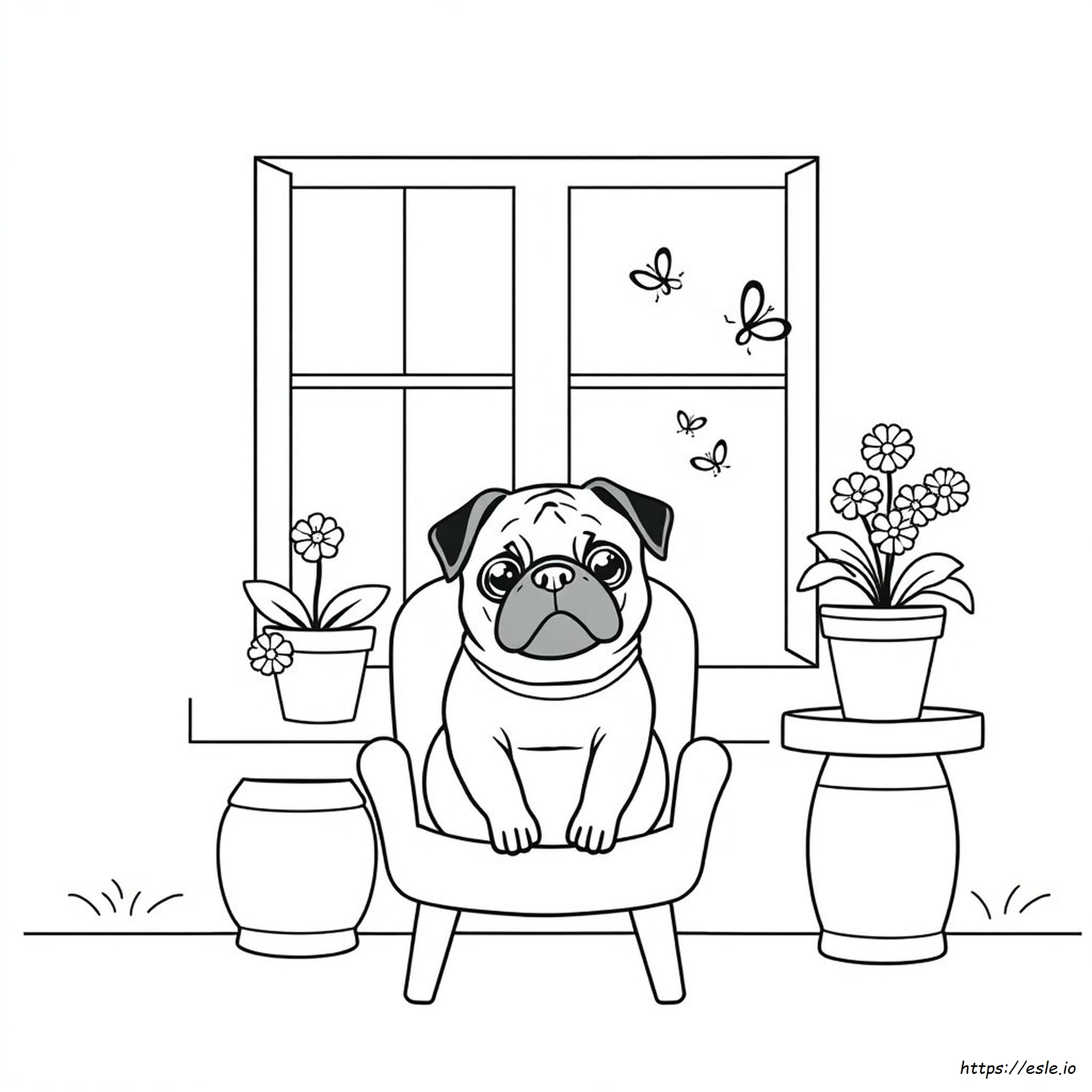 Dibujos De Pugs Para Colorear