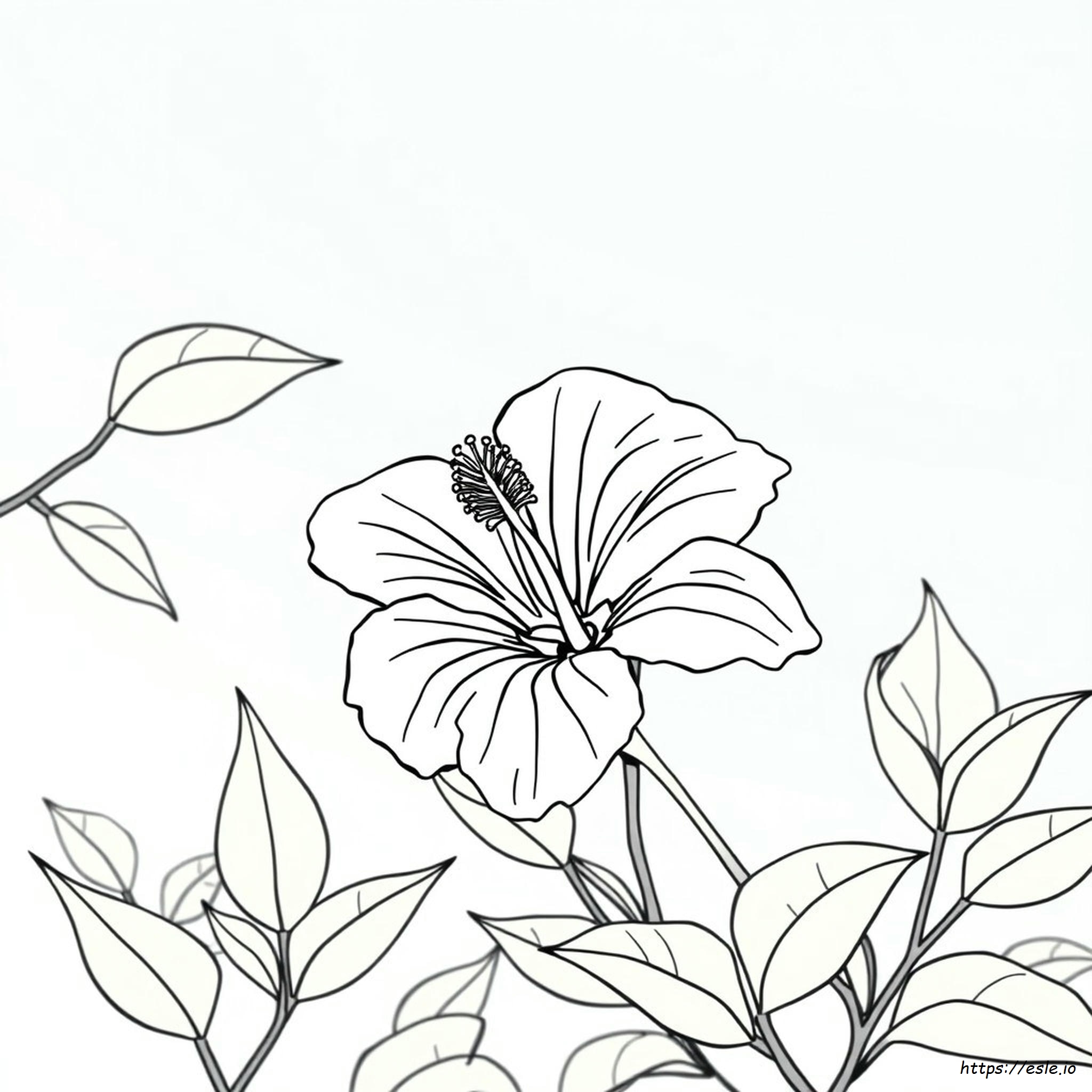 Hibiscus Flower Coloring