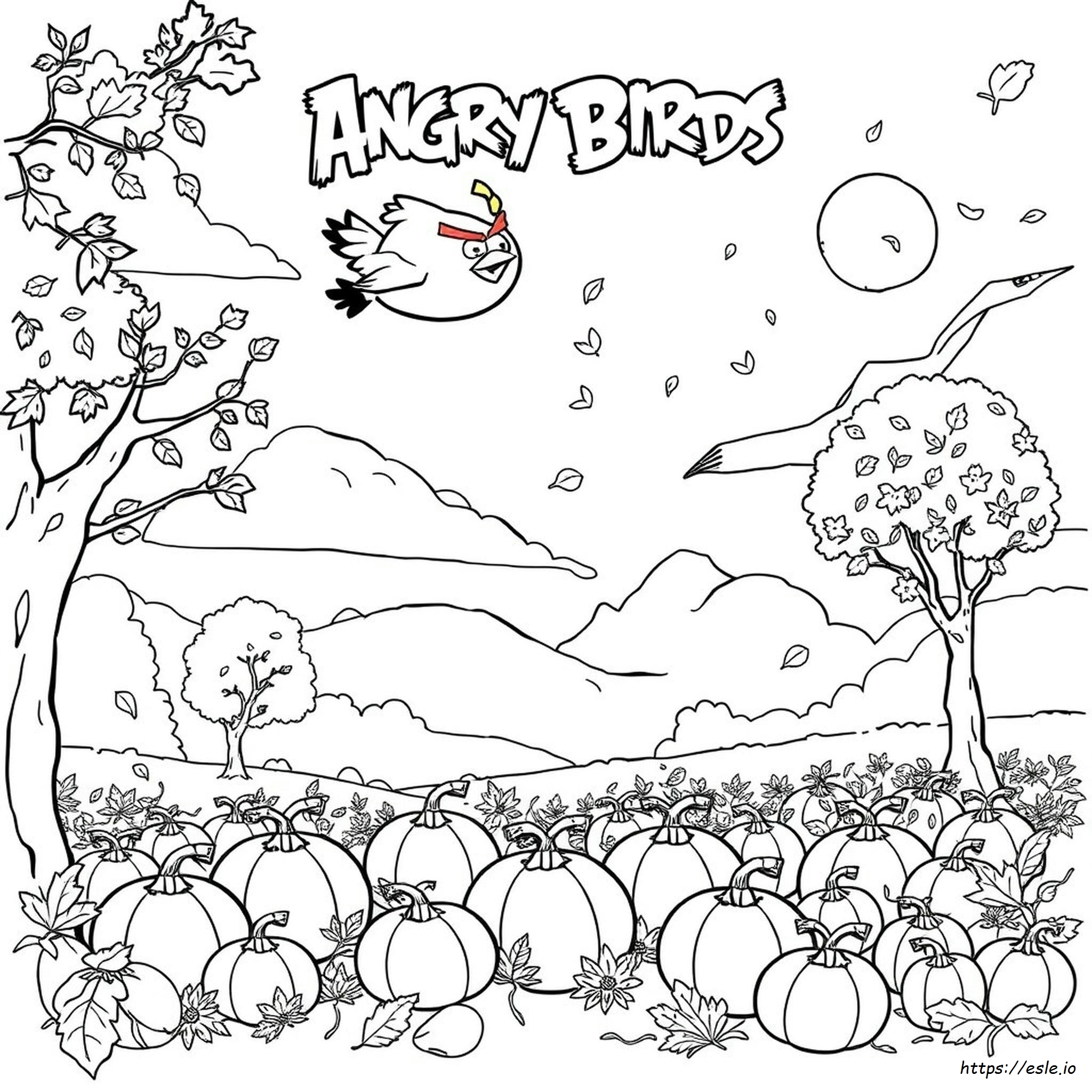 Angry Birds Seasons Ausmalbilder
