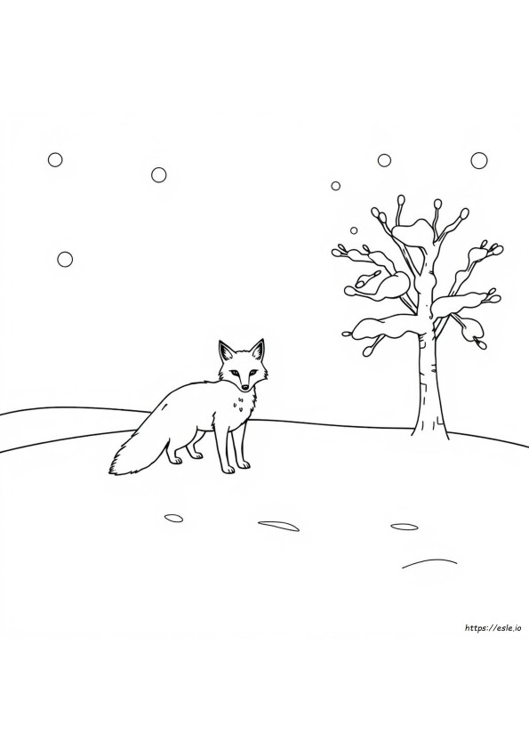 Animali Invernali Da Colorare