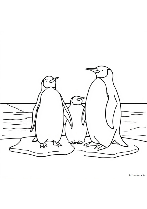 Emperor Penguin Coloring