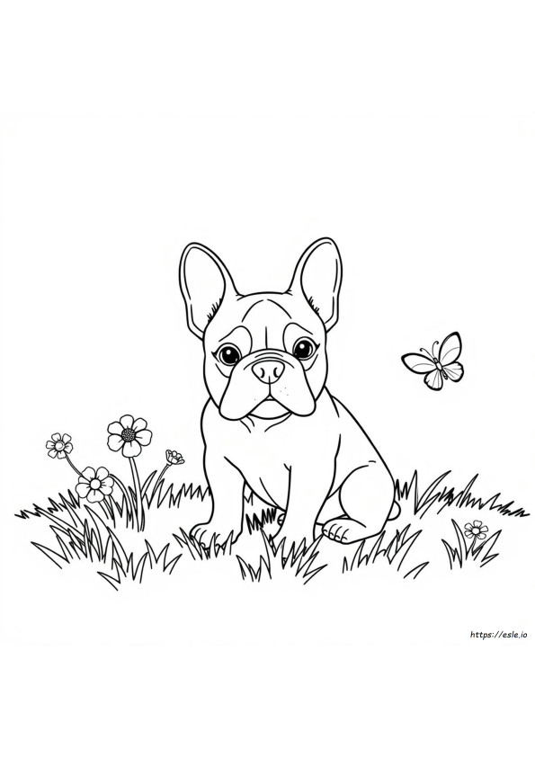Gambar Mewarnai Anjing Bulldog Prancis