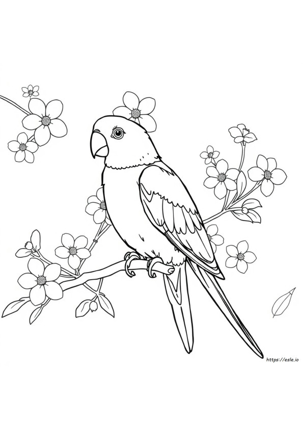 Coloriage Inséparable
