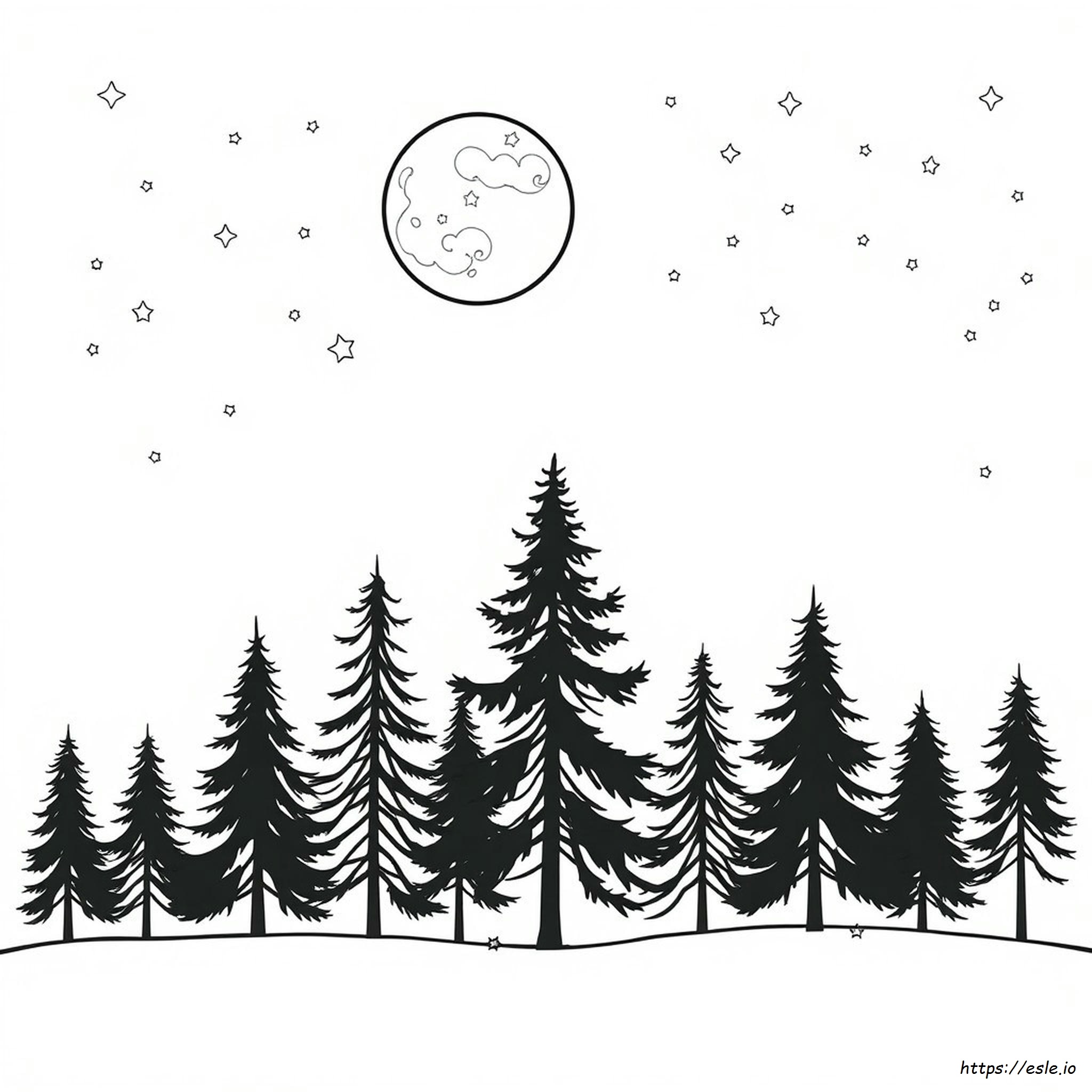 Coloriage Nuit Étoilée