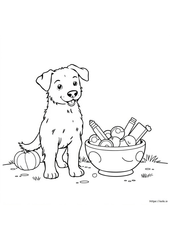 Cara Mewarnai Anjing Anda Dengan Pewarna Makanan