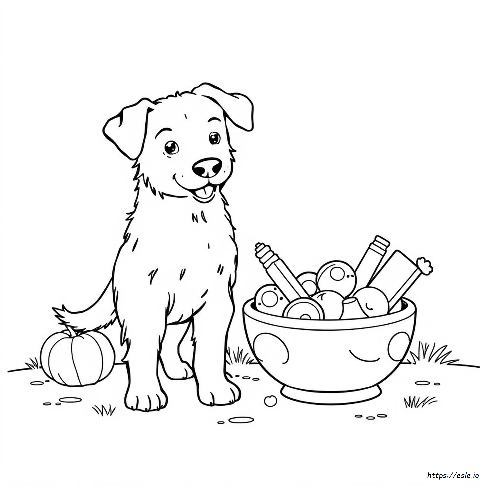 Cómo Teñir A Tu Perro Con Colorante Alimentario