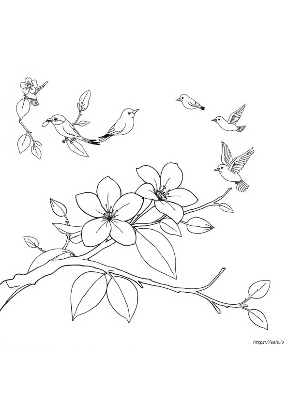 Coloriages De Printemps Gratuits