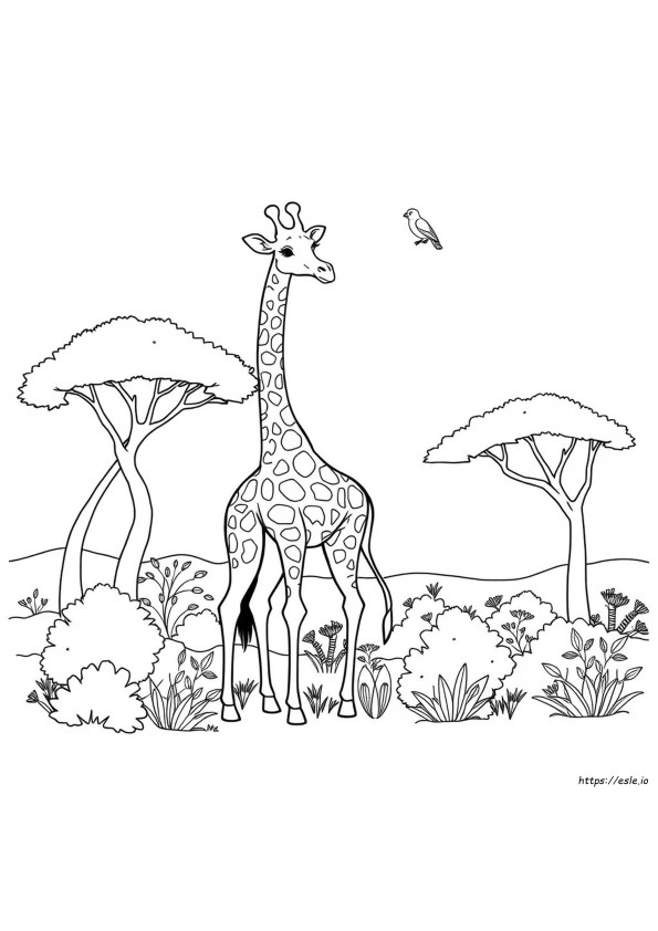 Dieren Kleurplaten Giraffe