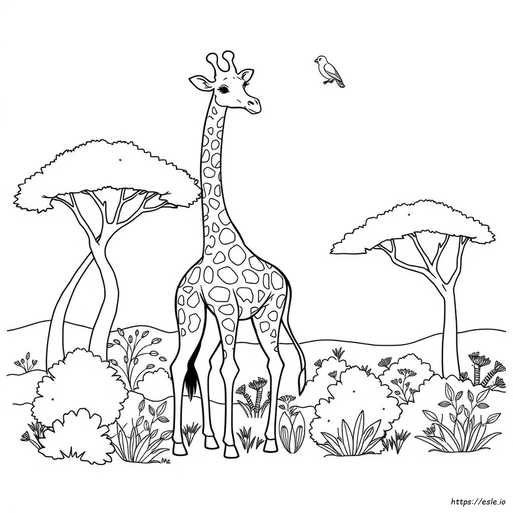 Animal Coloring Pages Giraffe