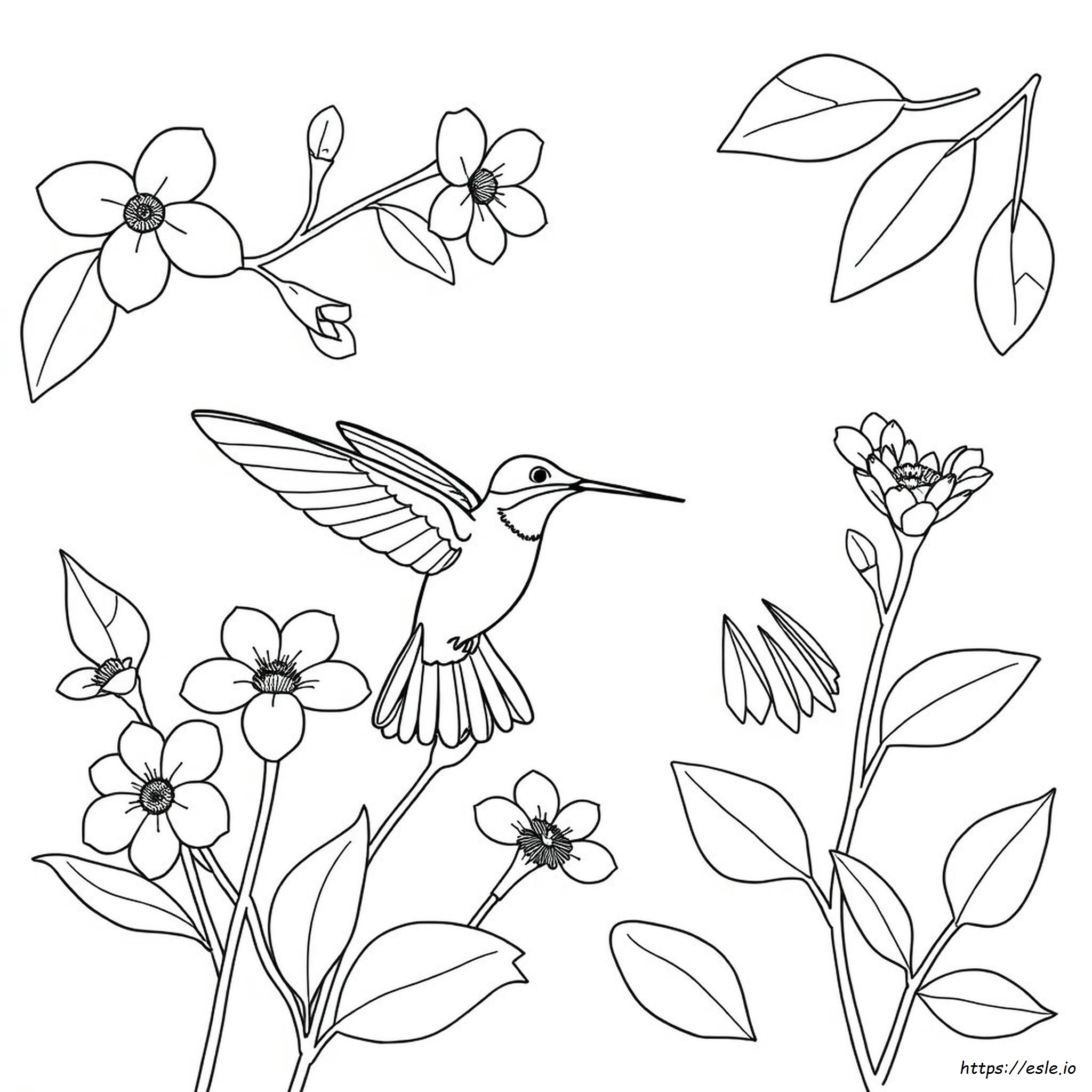 Páginas Para Colorear De Colibríes Y Flores