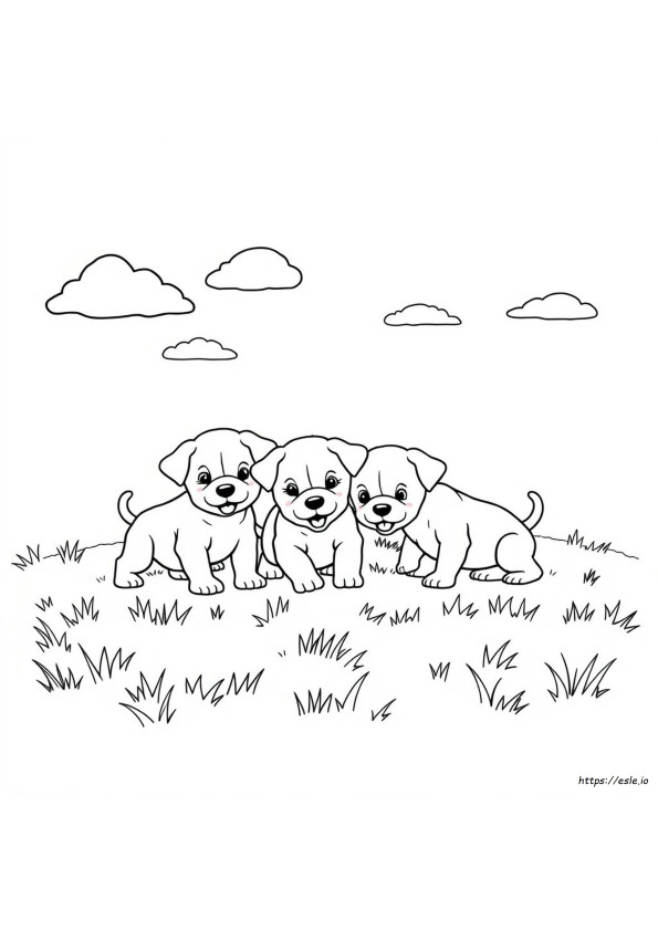 Free Printable Coloring Pages Of Puppies