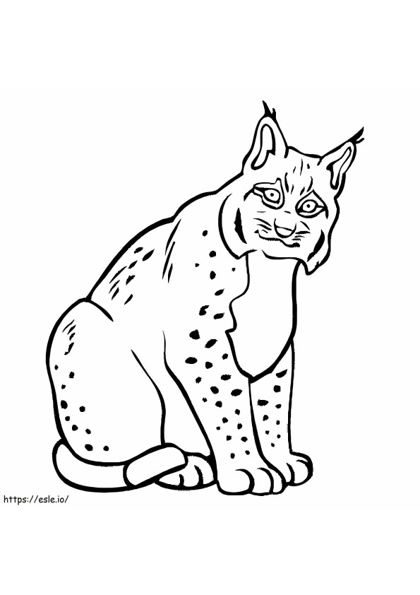 Fat Lynx Sitting coloring page