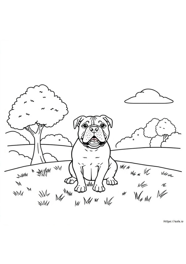 Gambar Mewarnai American Bulldog