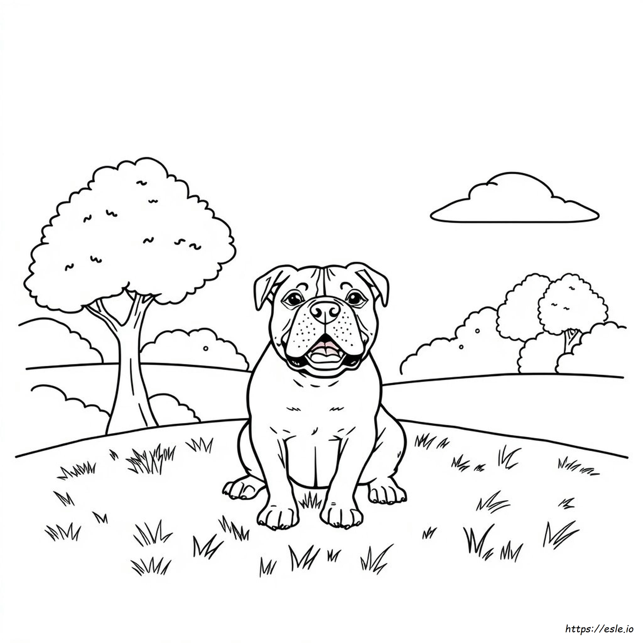 Páginas Para Colorear De Bulldog Americano