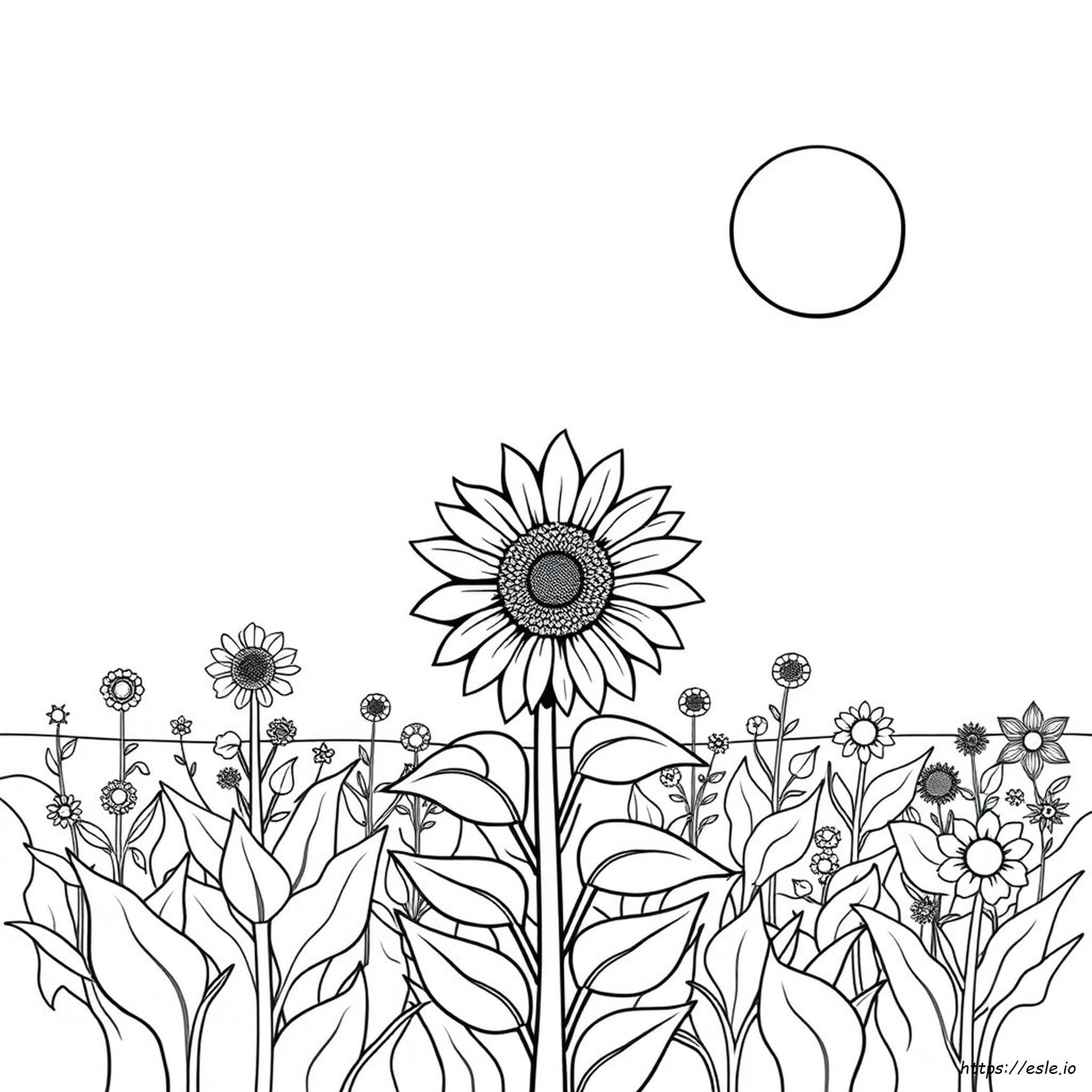 Sonnenblume Ausmalbilder Zum Ausdrucken