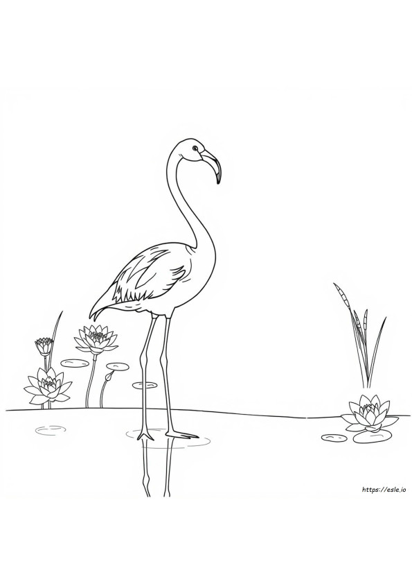 Flamingo Värityskuvat Aikuisille