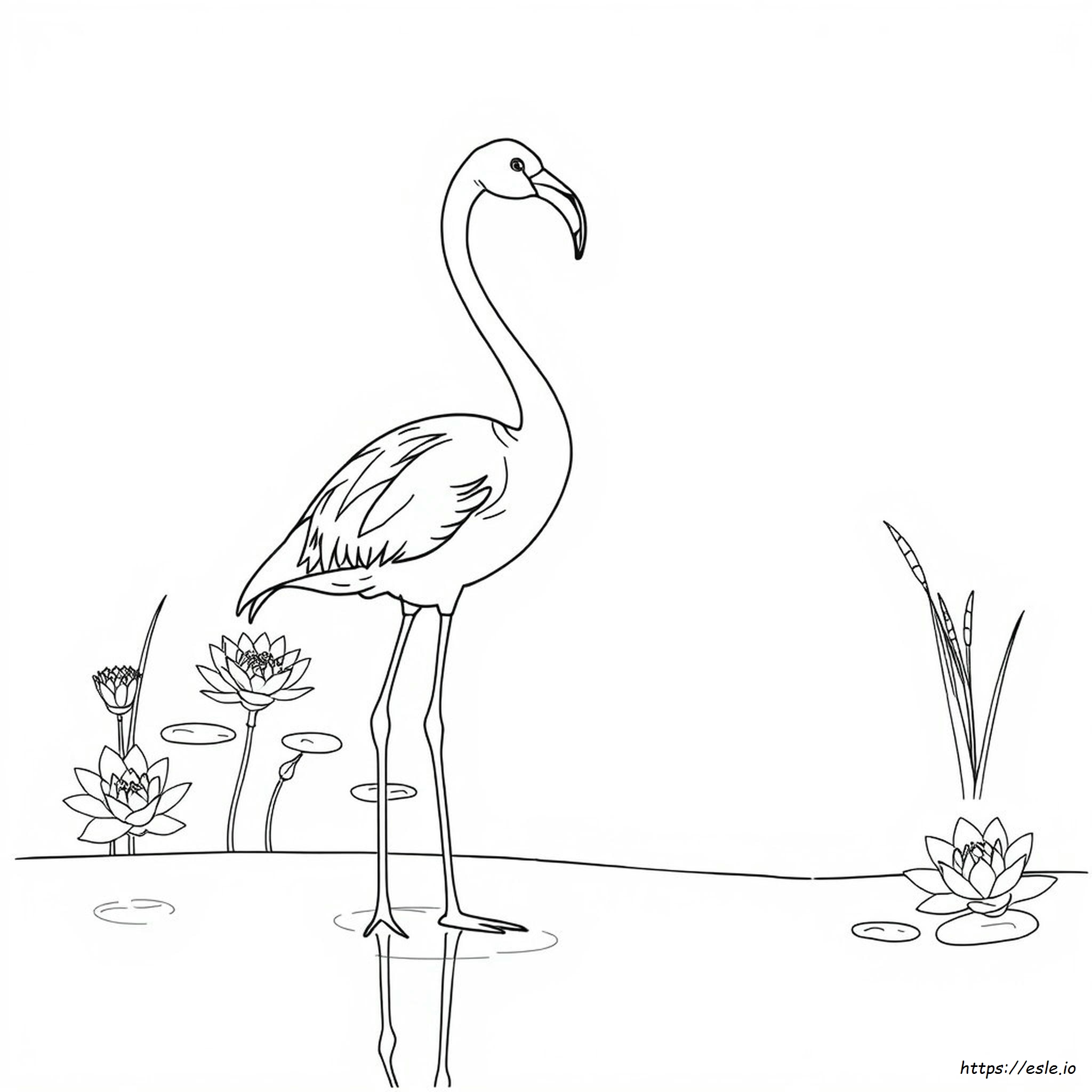 Flamingo Coloring Pages For Adults