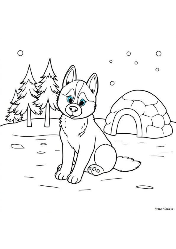 Cute Puppy Dog Cute Husky Coloring Pages