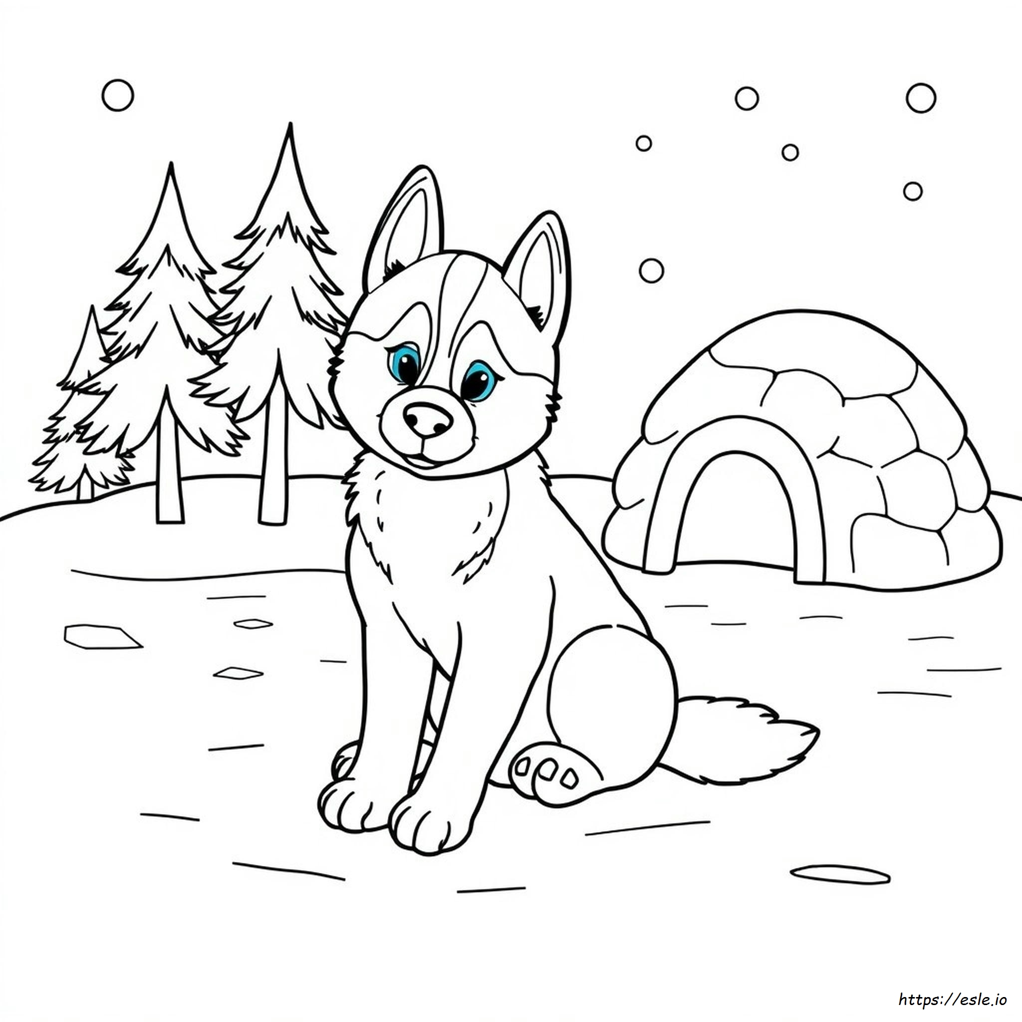 Cute Puppy Dog Cute Husky Coloring Pages