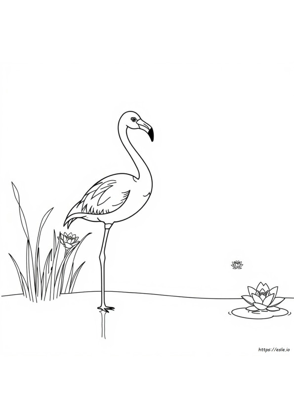 Flamingo Värityskuvat