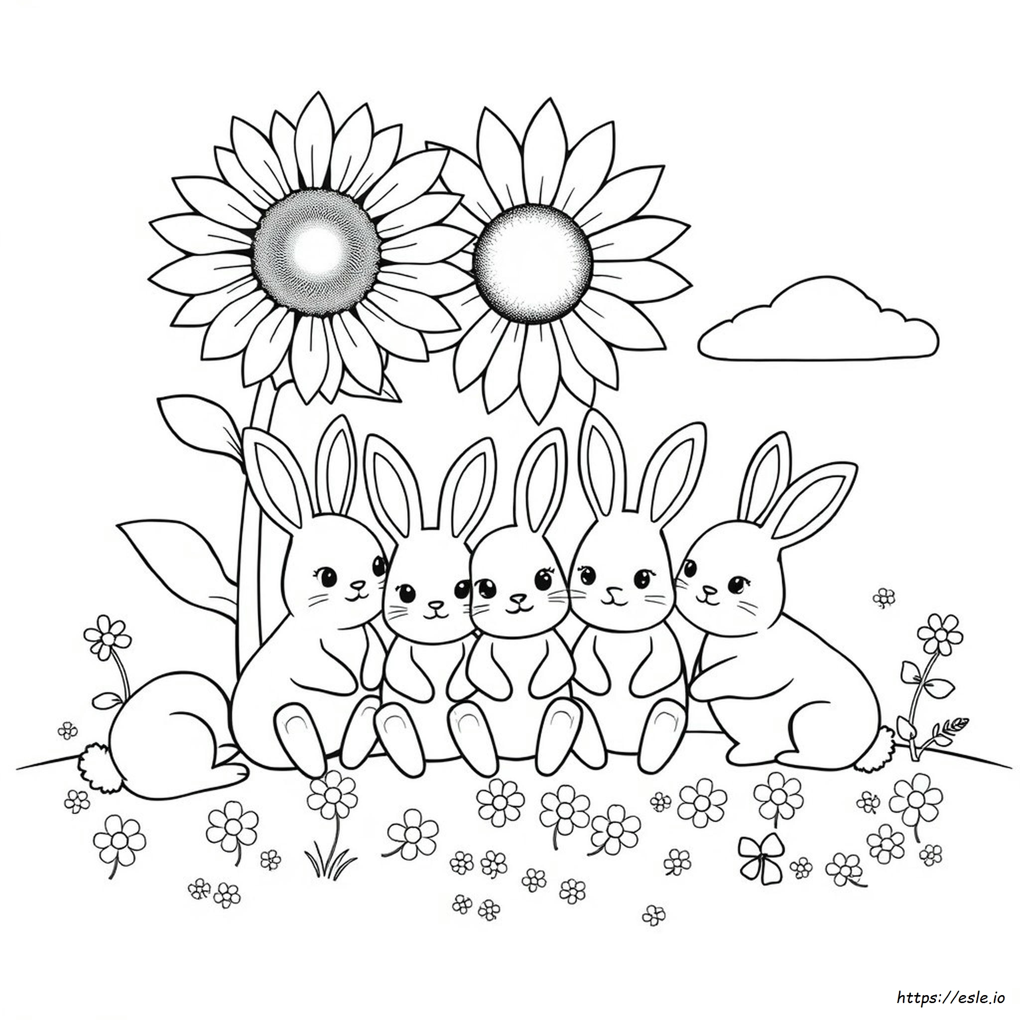 Sunny Bunnies Colouring Book