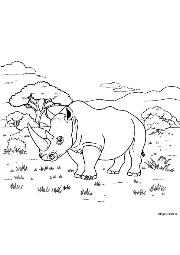 Gambar Mewarnai Badak