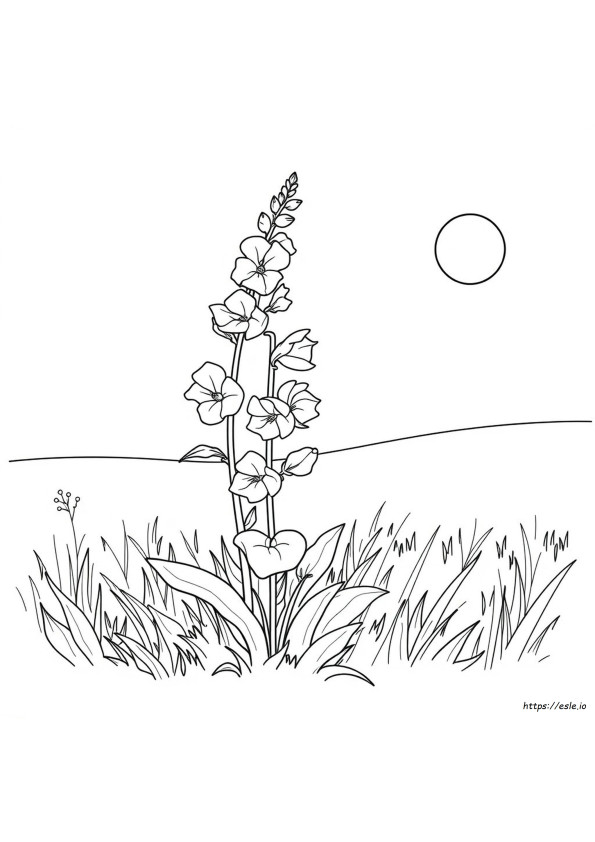 Gambar Mewarnai Snapdragon