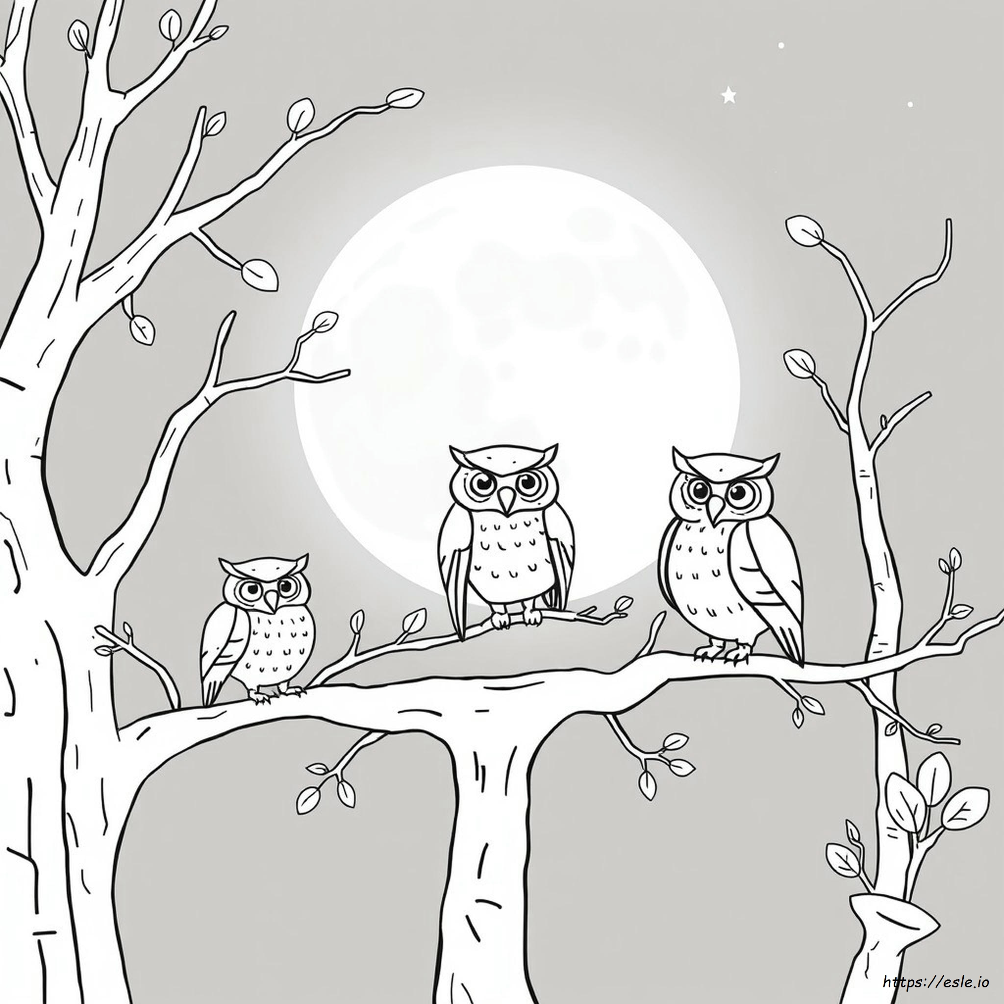 Owl Coloring Pages For Preschoolers