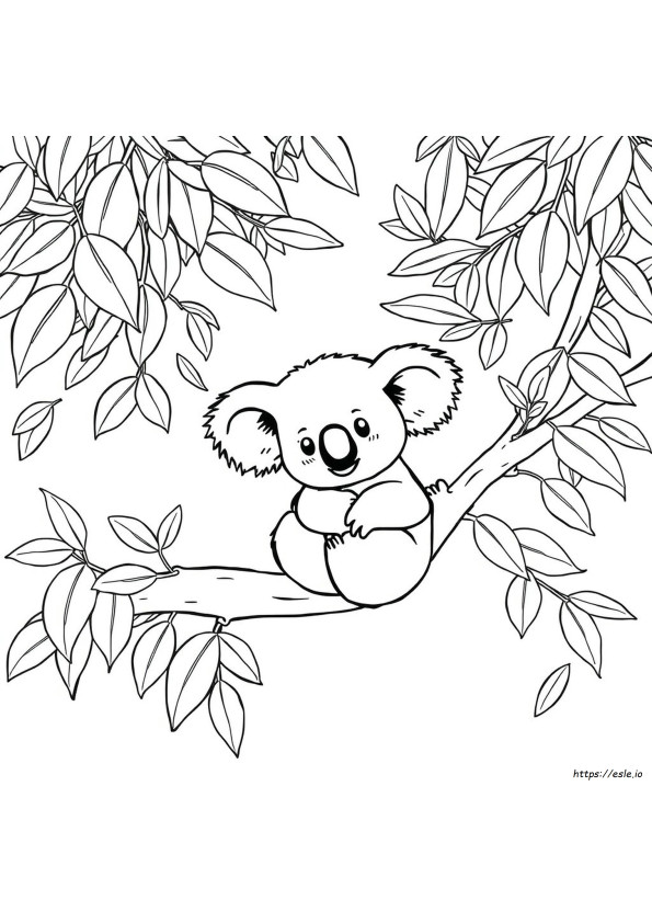 Koala Boyama