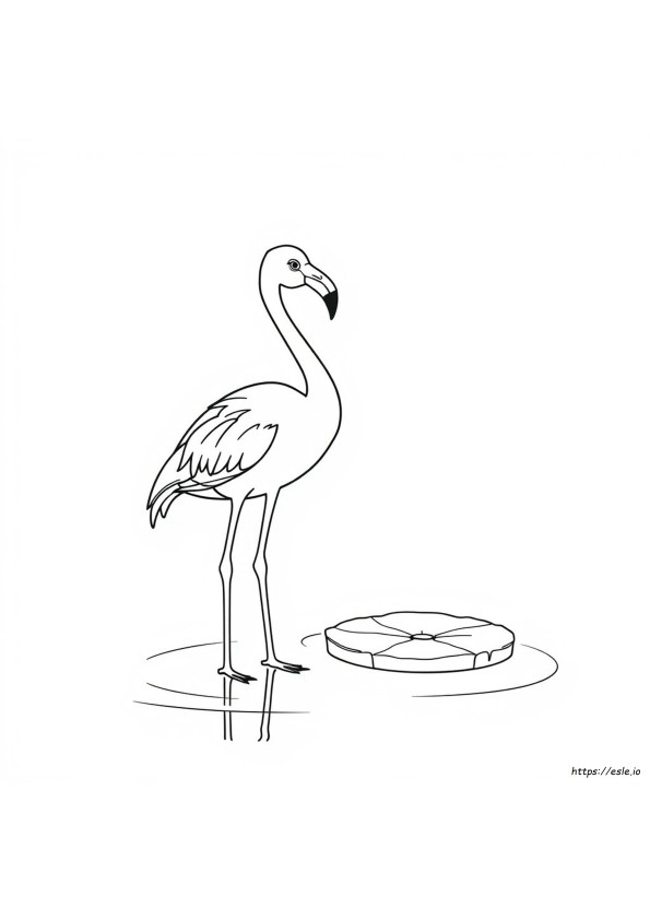 Flamingo Värityskuva