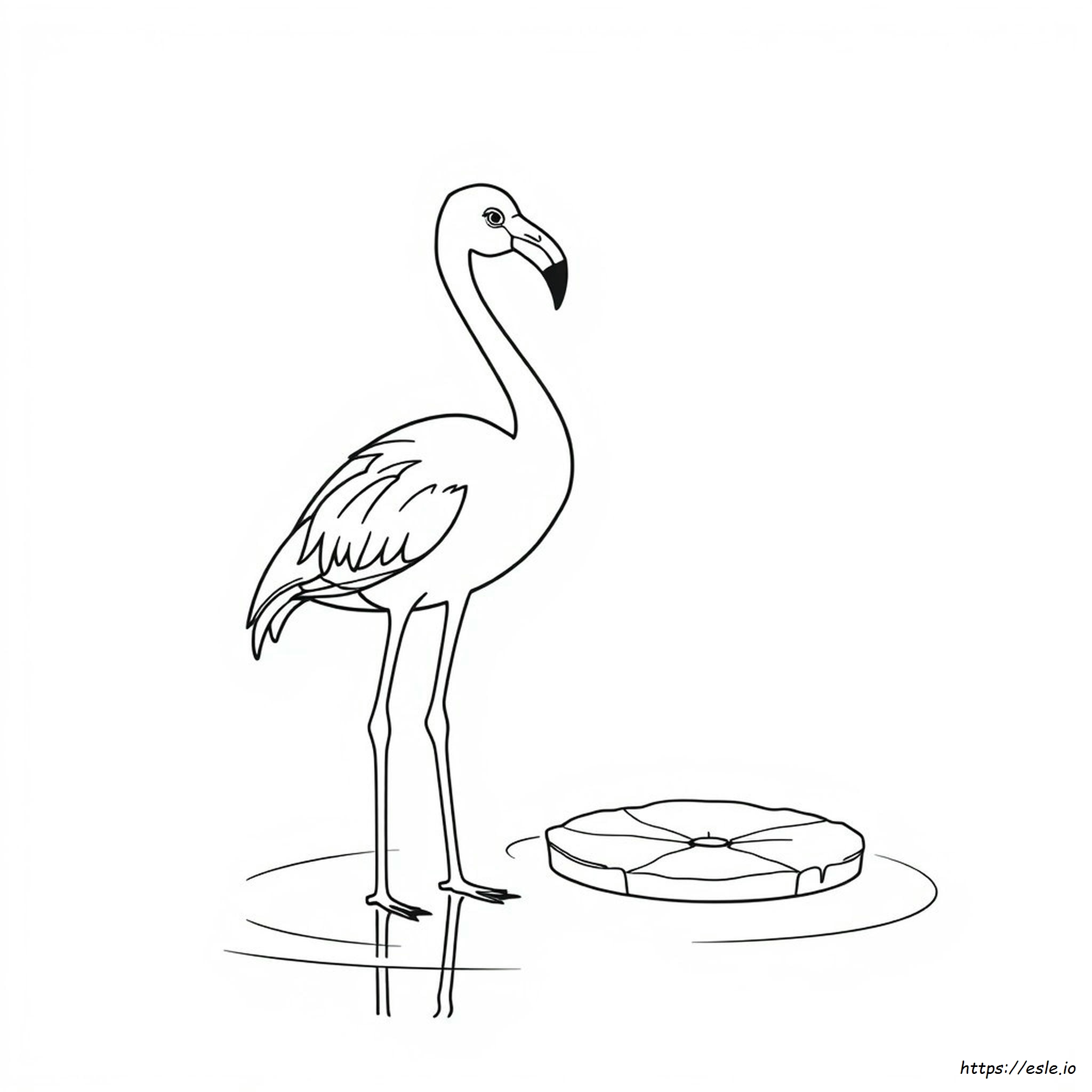 Flamingo Coloring Picture