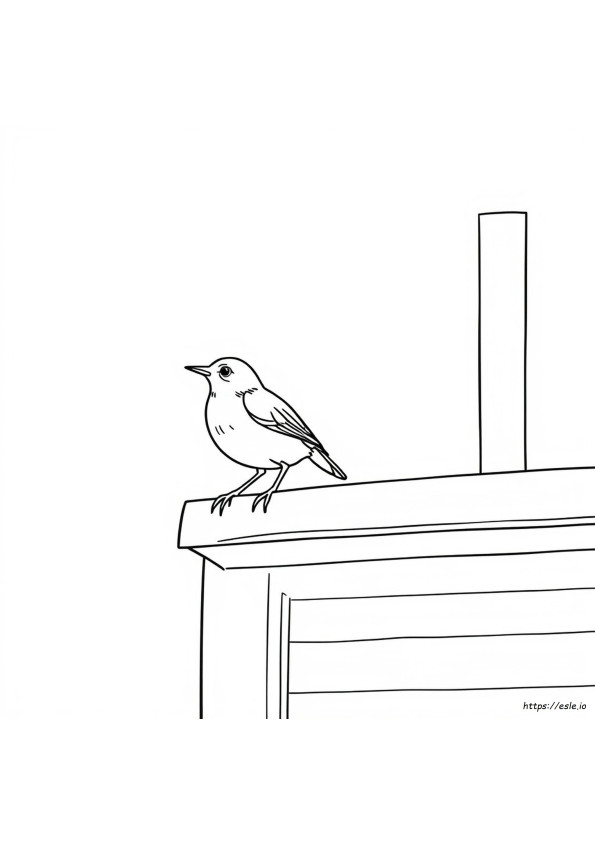 Gambar Mewarnai Burung Wren Rumah