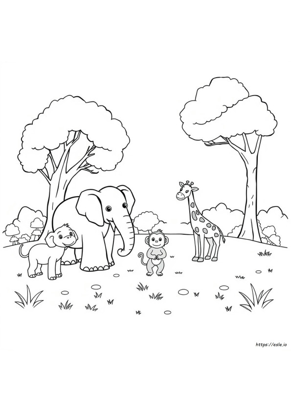 Grădiniță Zoo Planșe De Colorat