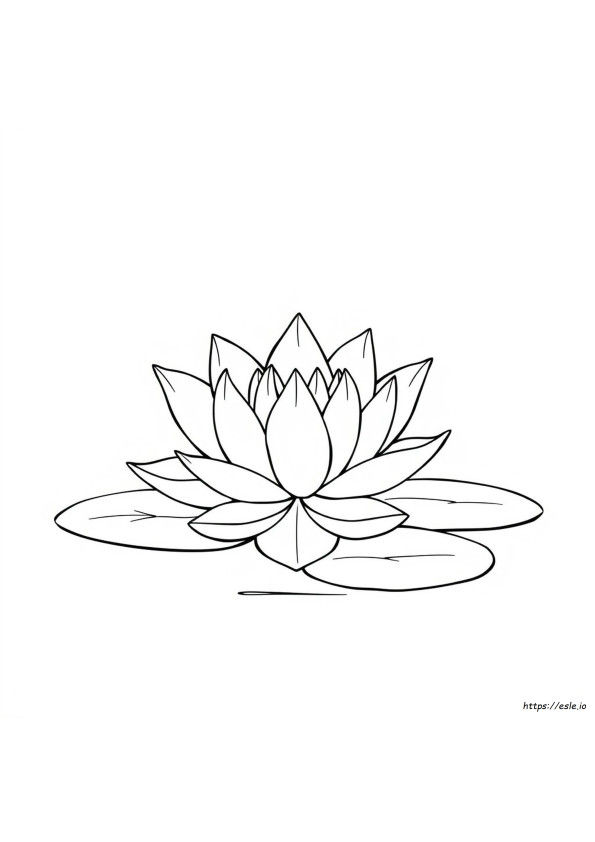 Colouring Pages Of Lotus