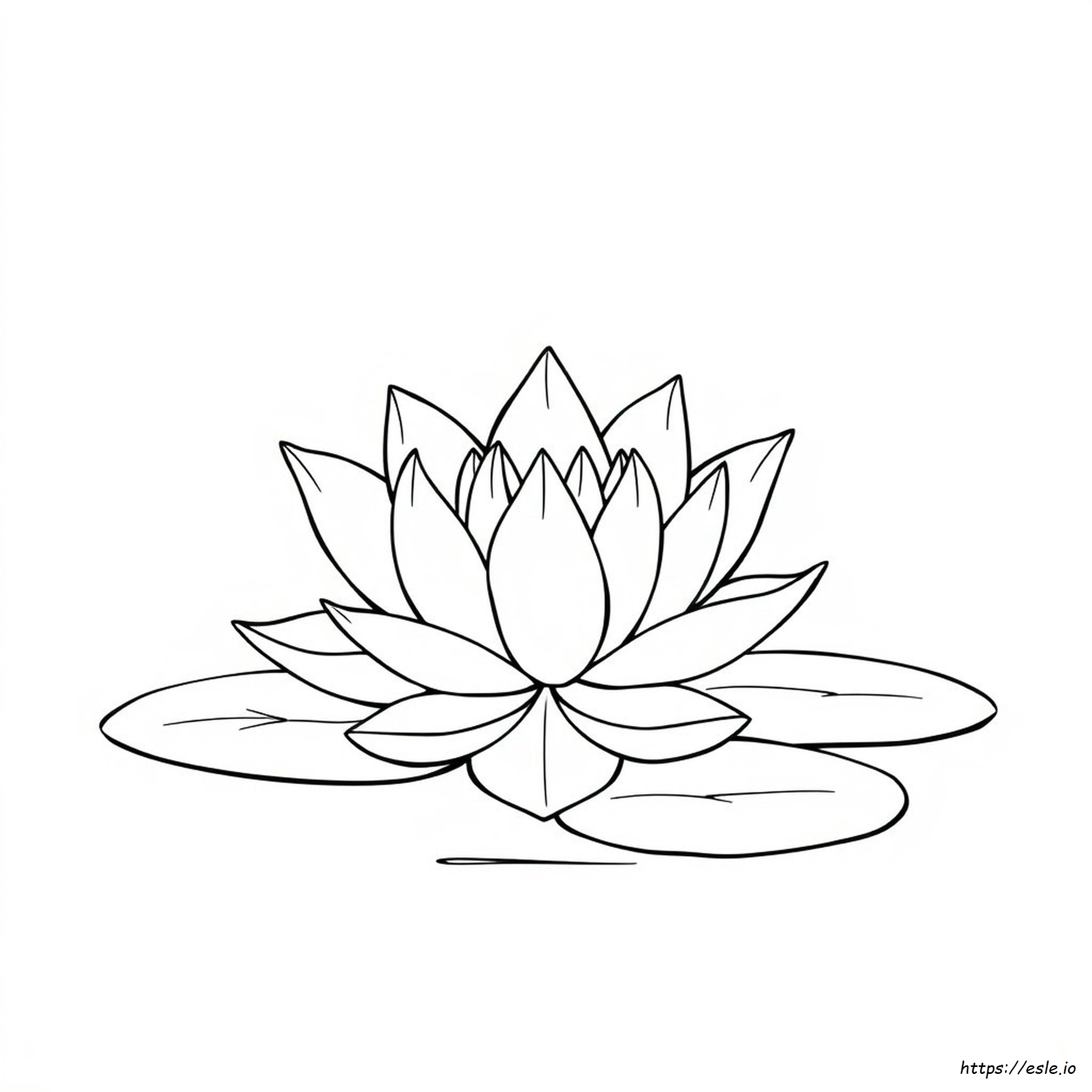Colouring Pages Of Lotus