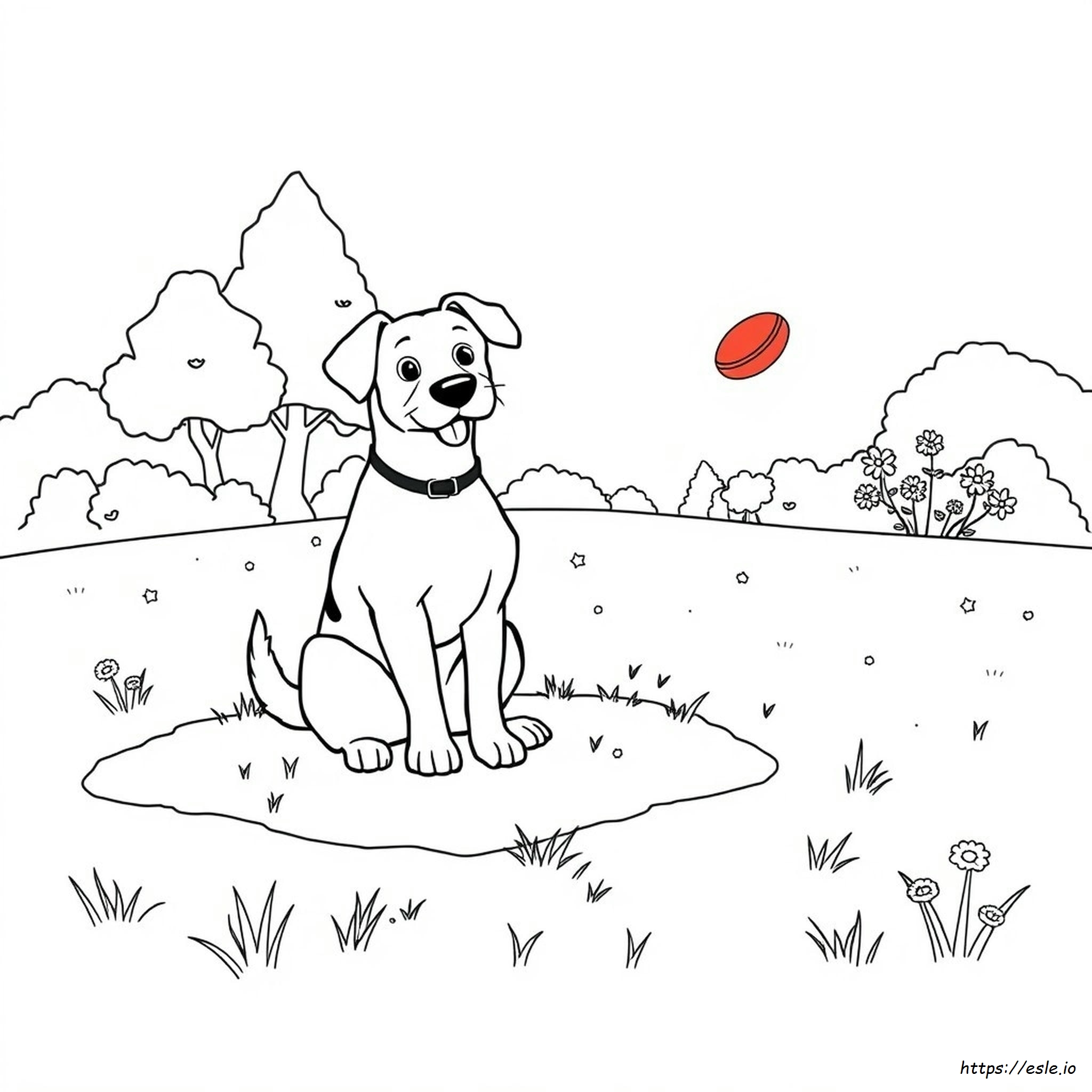 Spot The Dog Colouring