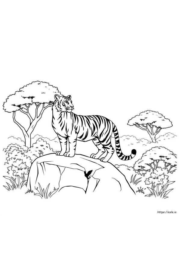 Disegni Da Colorare Di Animali: Tigre
