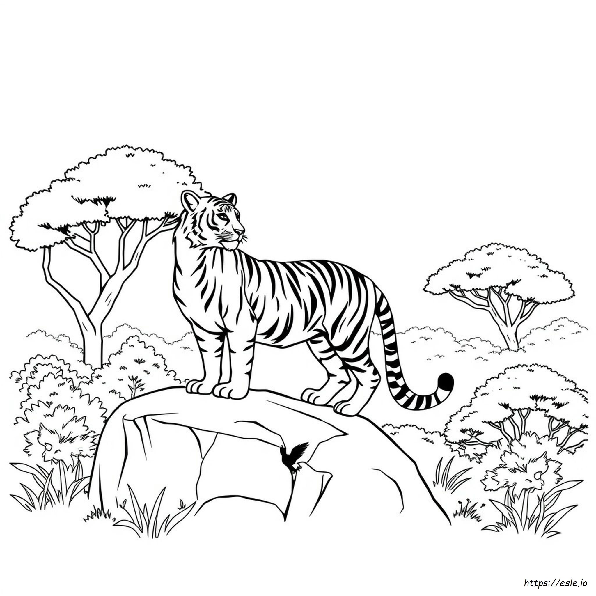 Állat Színező Oldalak: Tigris