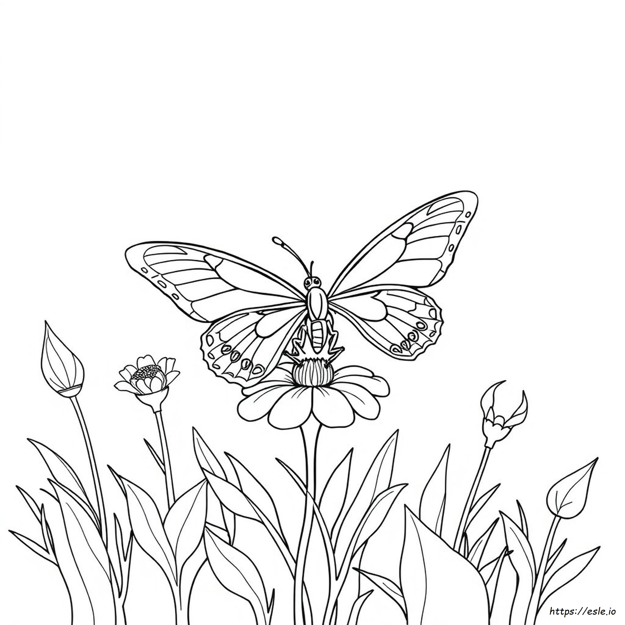Pagina Da Colorare Con Farfalla Per Adulti Da Stampare