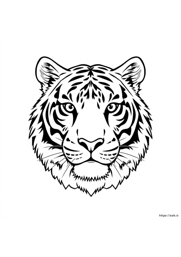 Facce Di Tigre Da Colorare E Stampare