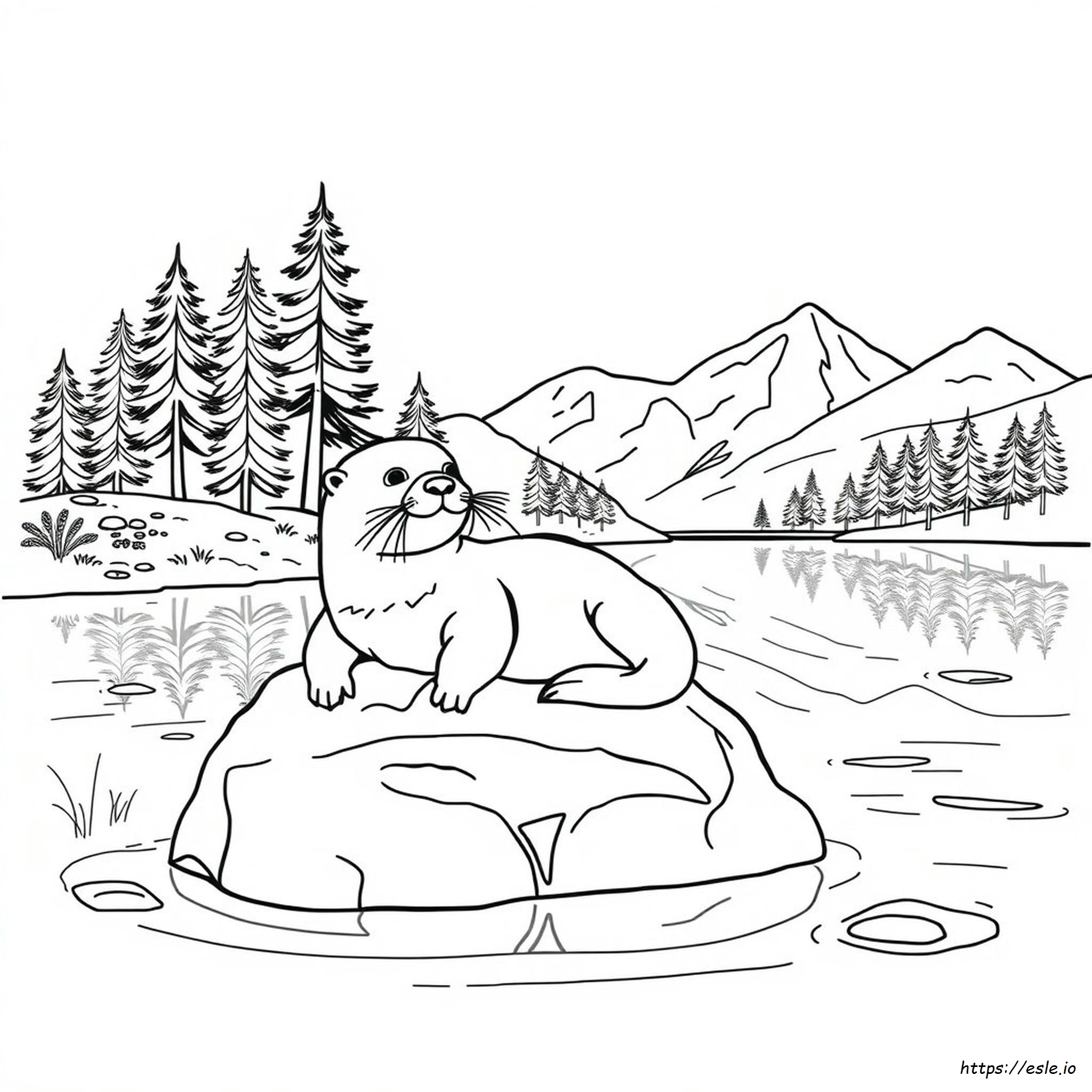 Are There Otters In Colorado