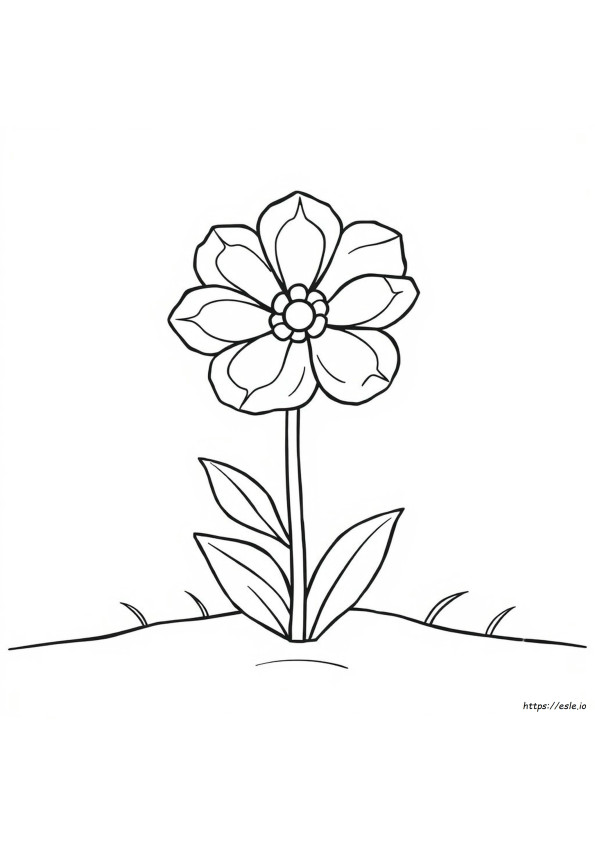 Disegni Audaci Da Colorare E Stampare Gratis